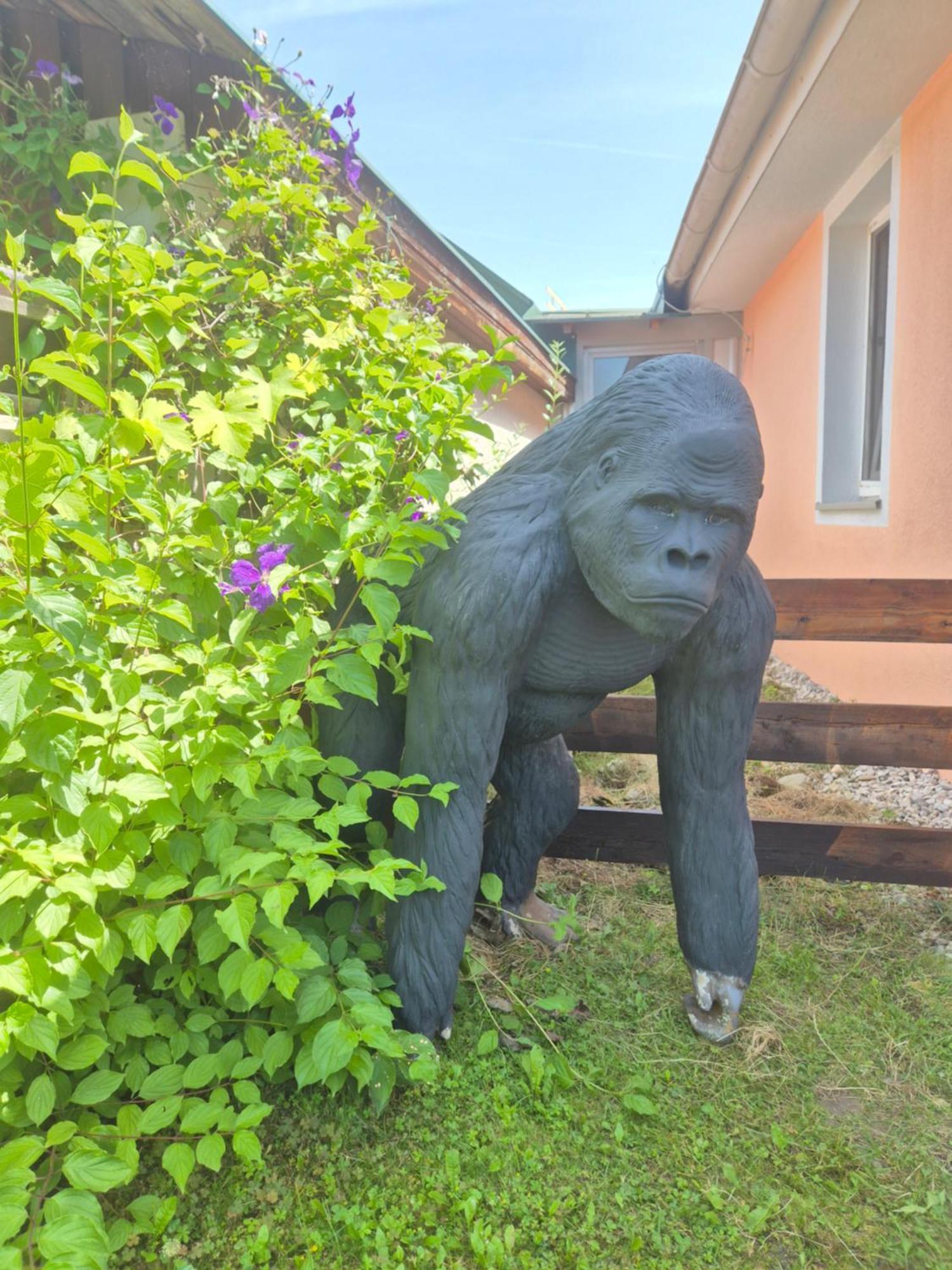 Ferienhaus Paradies - Naehe Sonnentherme Lutzmannsburg